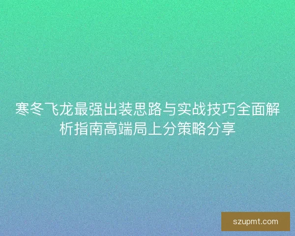 寒冬飞龙最强出装思路与实战技巧全面解析指南高端局上分策略分享